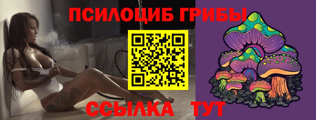 Псилоцибиновые грибы GOLDEN TEACHER  Вход с VPN  Ростов Великий 